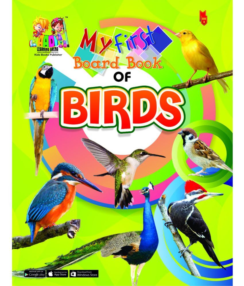 other birds a novel book review other birds a novel book review