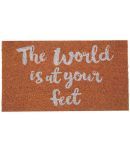 SWHF Brown Single Anti-skid Door Mat