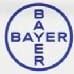 Bayer contour TS