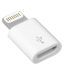 Pack of 1 Micro USB to Lightning 8 pin Charge Sync Data Connector Converter Adapter for Apple iPhone 5 5S 5C 6 6 Plus iPad Air iPad Air 2 iPad Mini