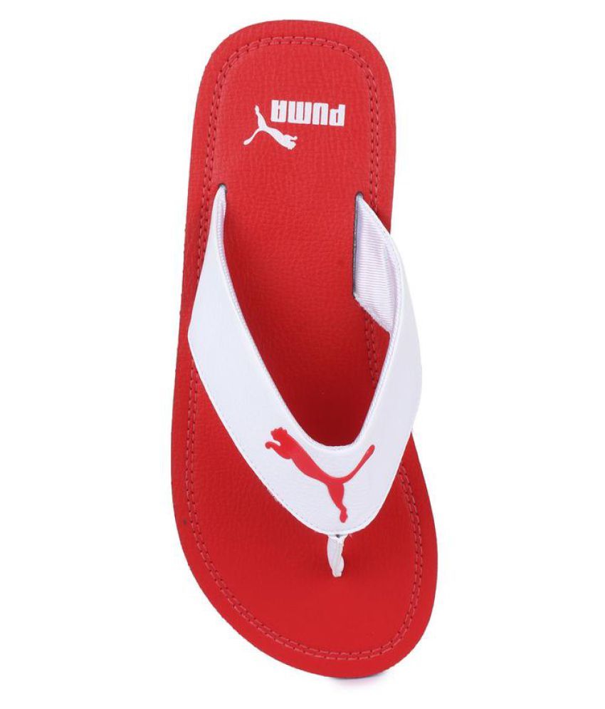 puma flash cat idp