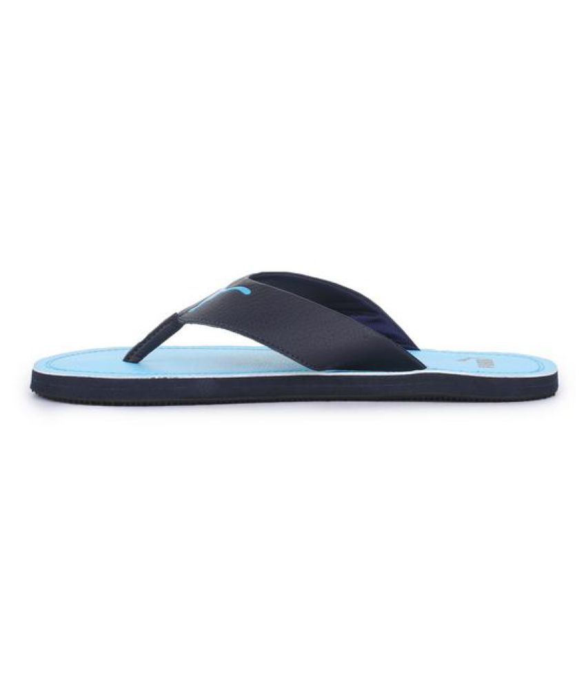 puma flash cat idp