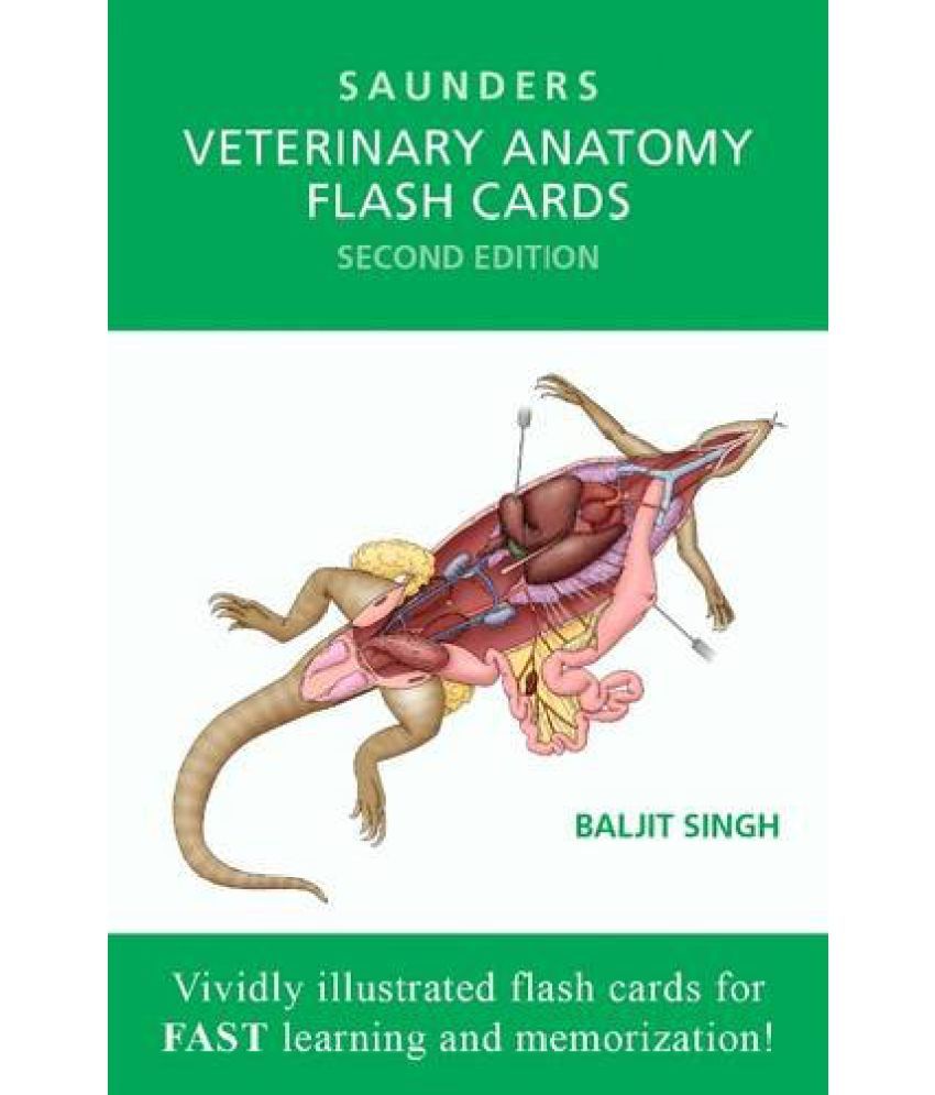 Veterinary Anatomy Flash Cards, 2e: Buy Veterinary Anatomy Flash Cards ...