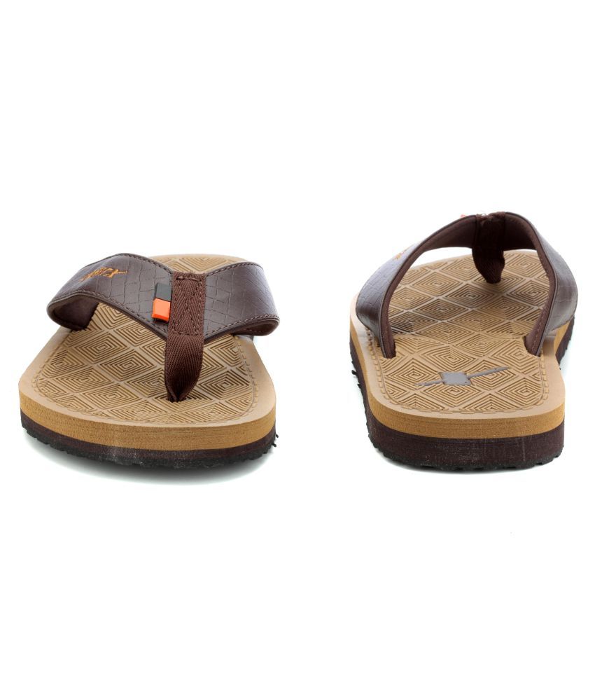 sparx slippers brown