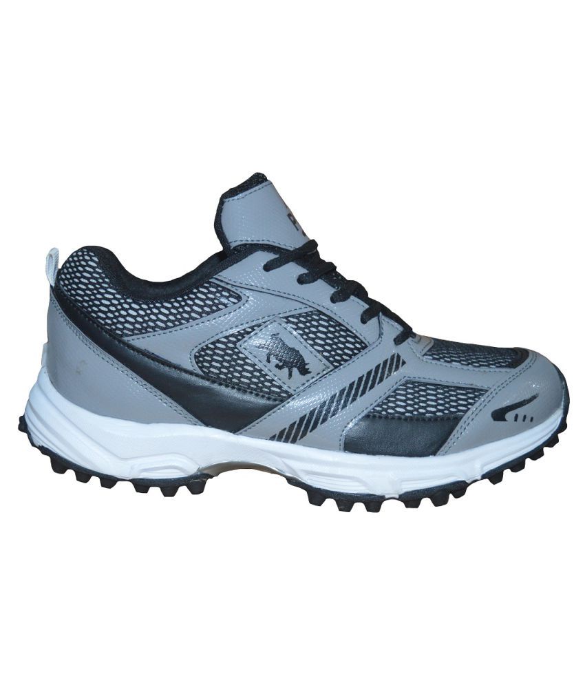 Port 68 NA Gray Cricket Shoes Buy Port 68 NA Gray Cricket Shoes