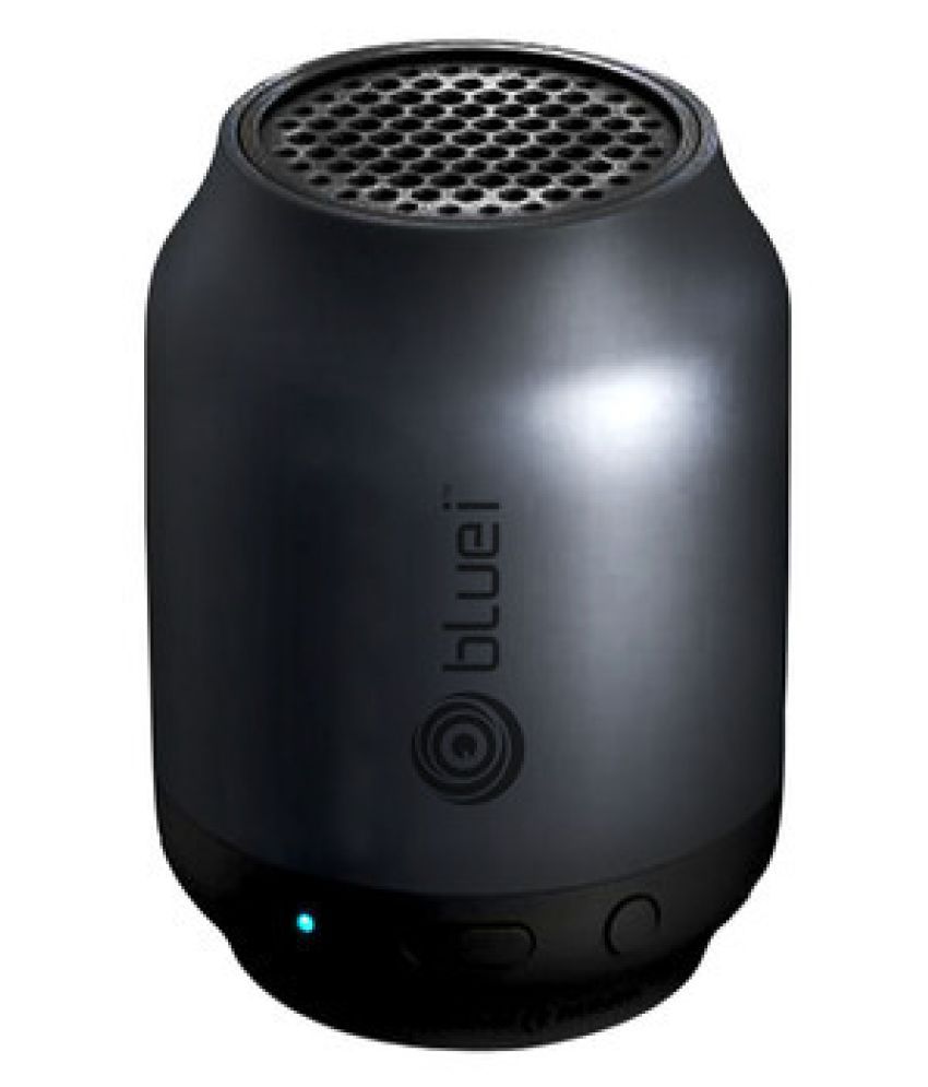 bluei speaker