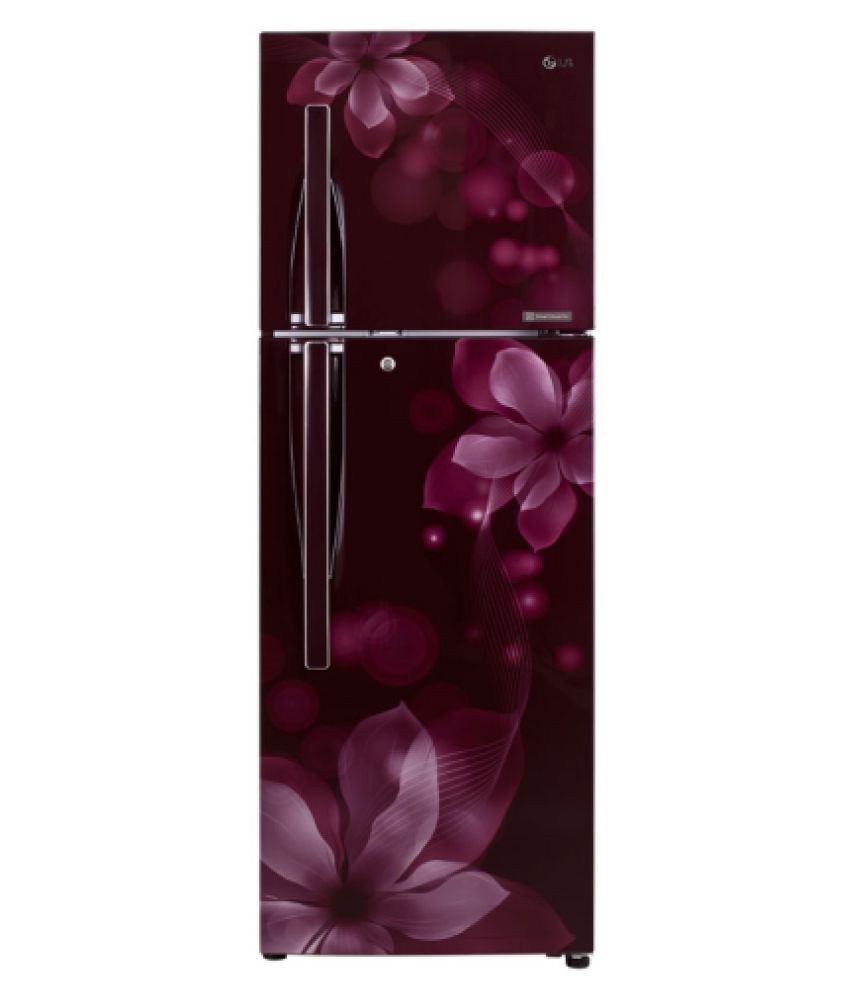Lg 255 Ltr 3 Star Gl Q282rsoy Double Door Refrigerator Maroon Lg 255 Ltr 3 Star Gl Q282rsoy Double Door Refrigerator Maroon Price In India Online