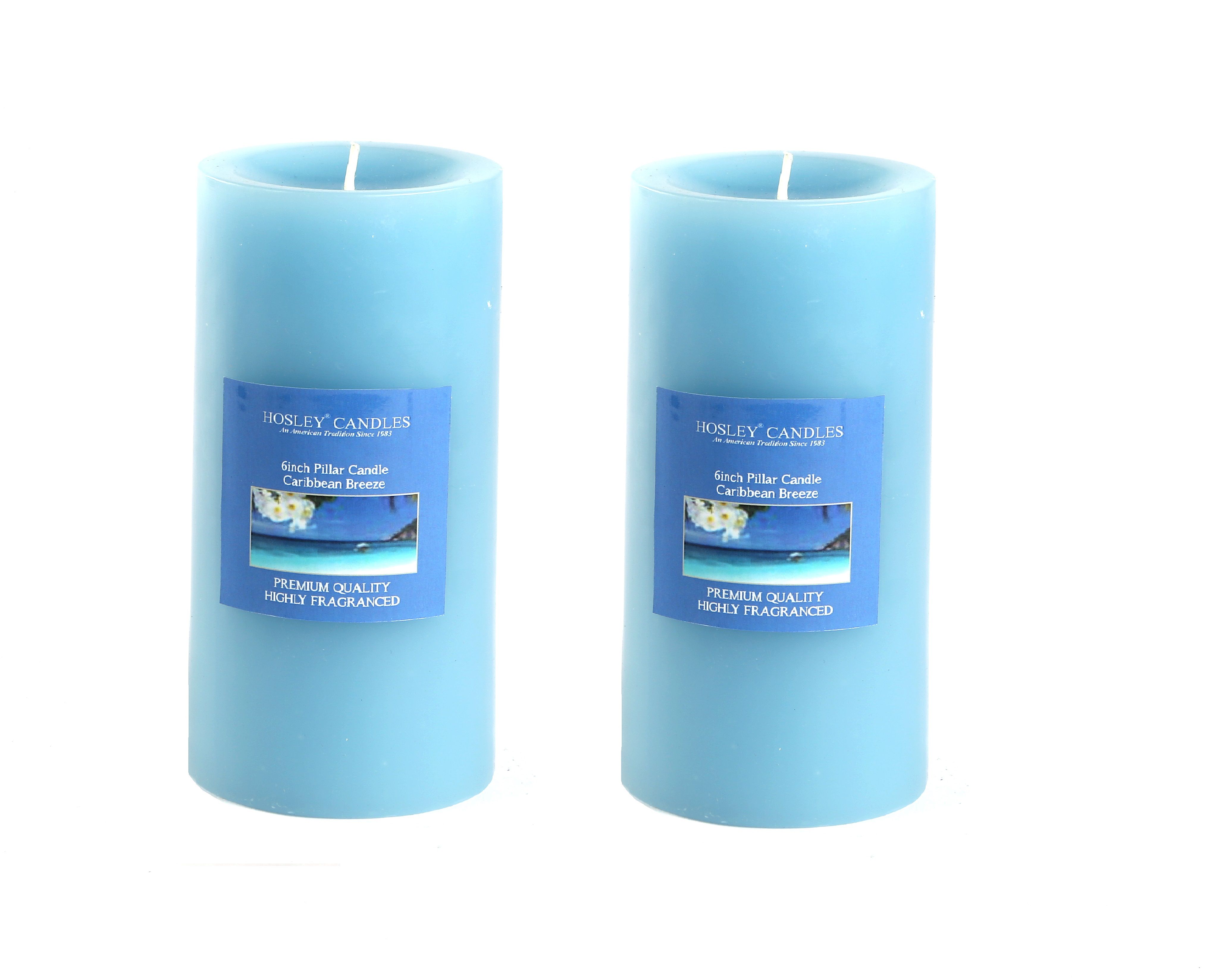 Hosley Blue Pillar Candle Pack of 2 Buy Hosley Blue Pillar Candle