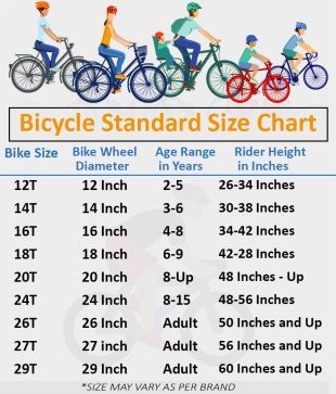 double paddle cycle price