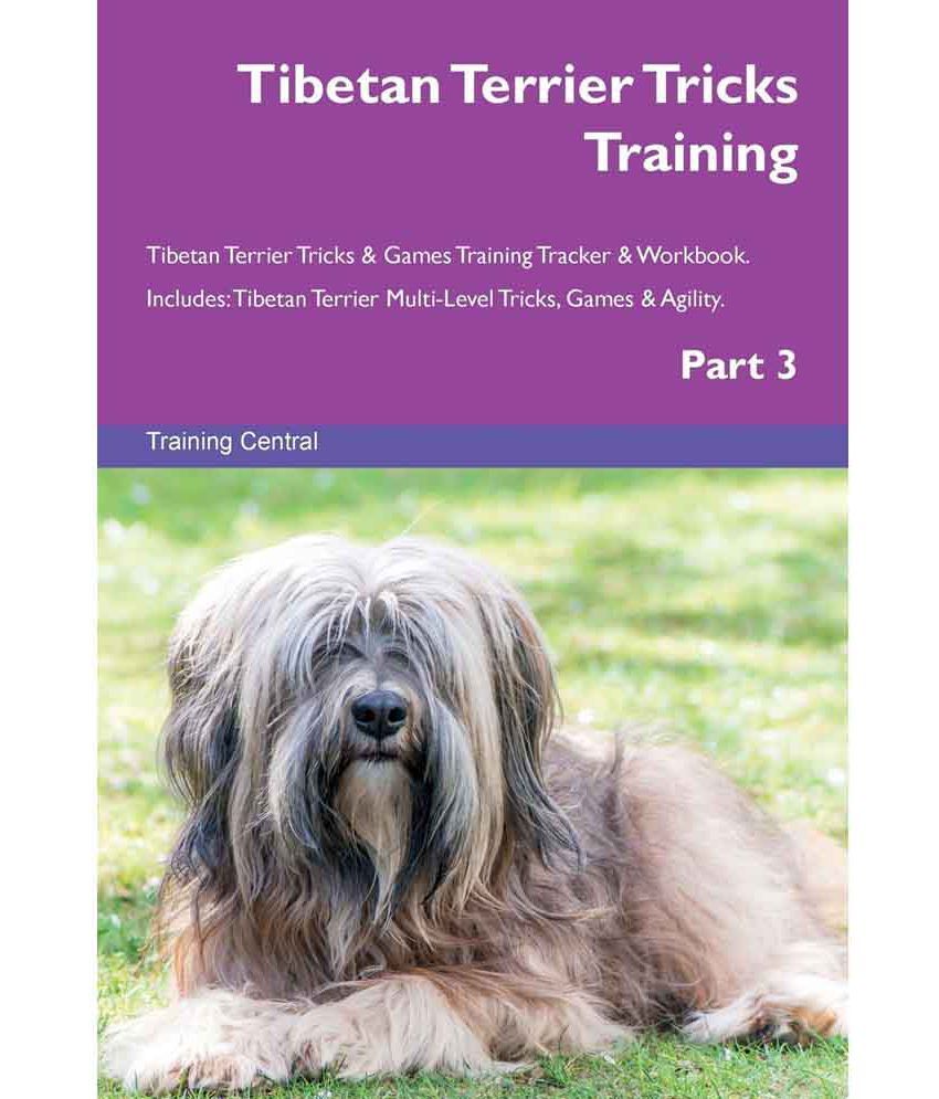 Tibetan Terrier Tricks Training Tibetan Terrier Tricks Training