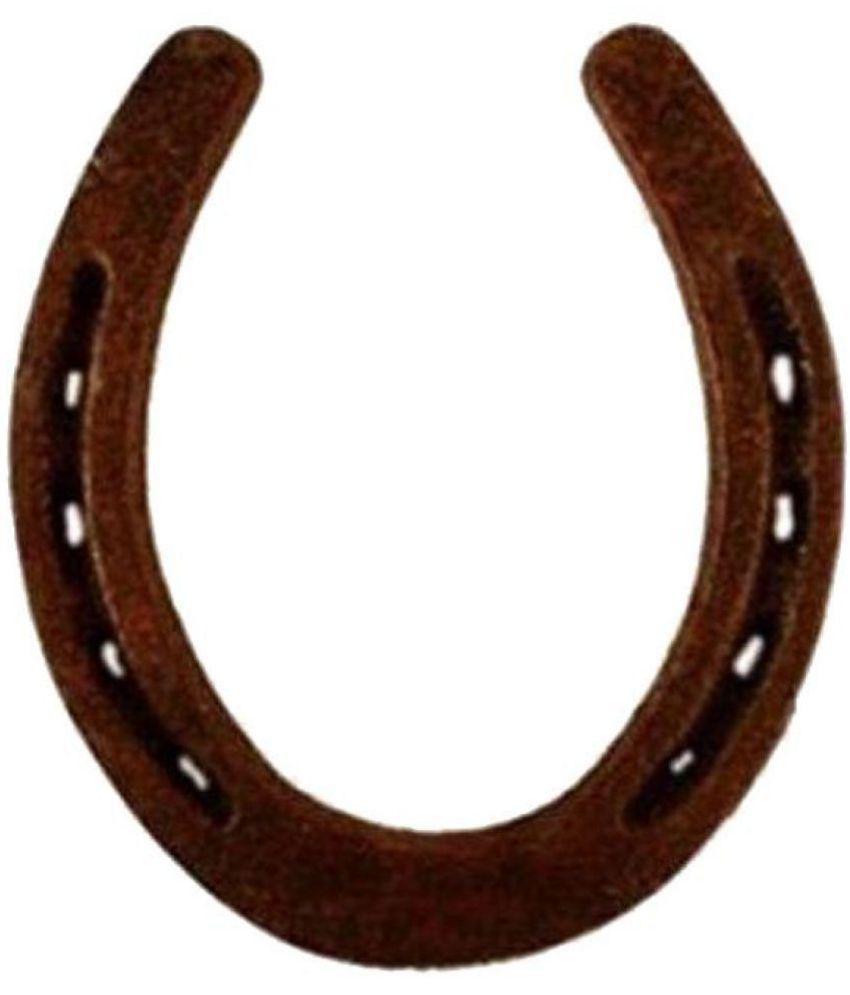     			King Collection Iron Horse Shoe Naal