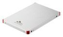 SK Hynix Flash Memory 2.5