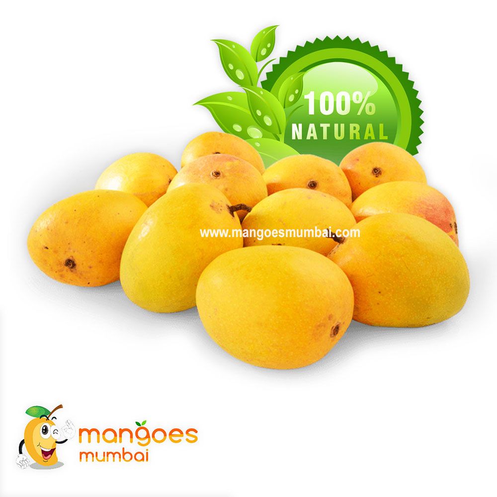 Green Go Ventures Mangoes Mumbai Fruits Ratnagiri Alphonso Mango 3.3 kg