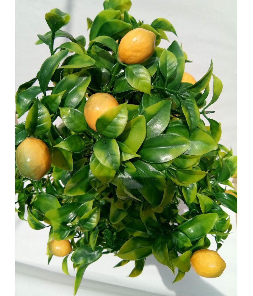 Aaryash Good Deals Bonsai Tree Multicolour Artificial Tree Plastic