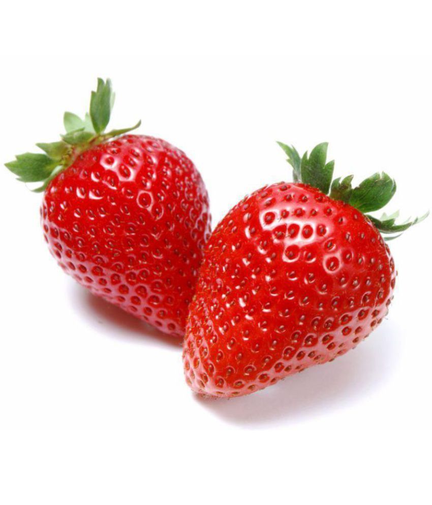     			pearl strawverry f1 hybrid seeds 15 per packets