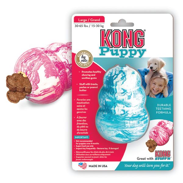 what can i put in kong for puppy