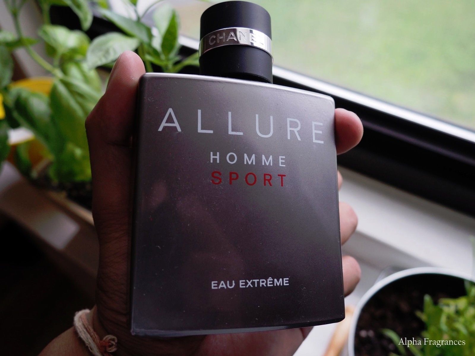allure homme sport eau extreme price