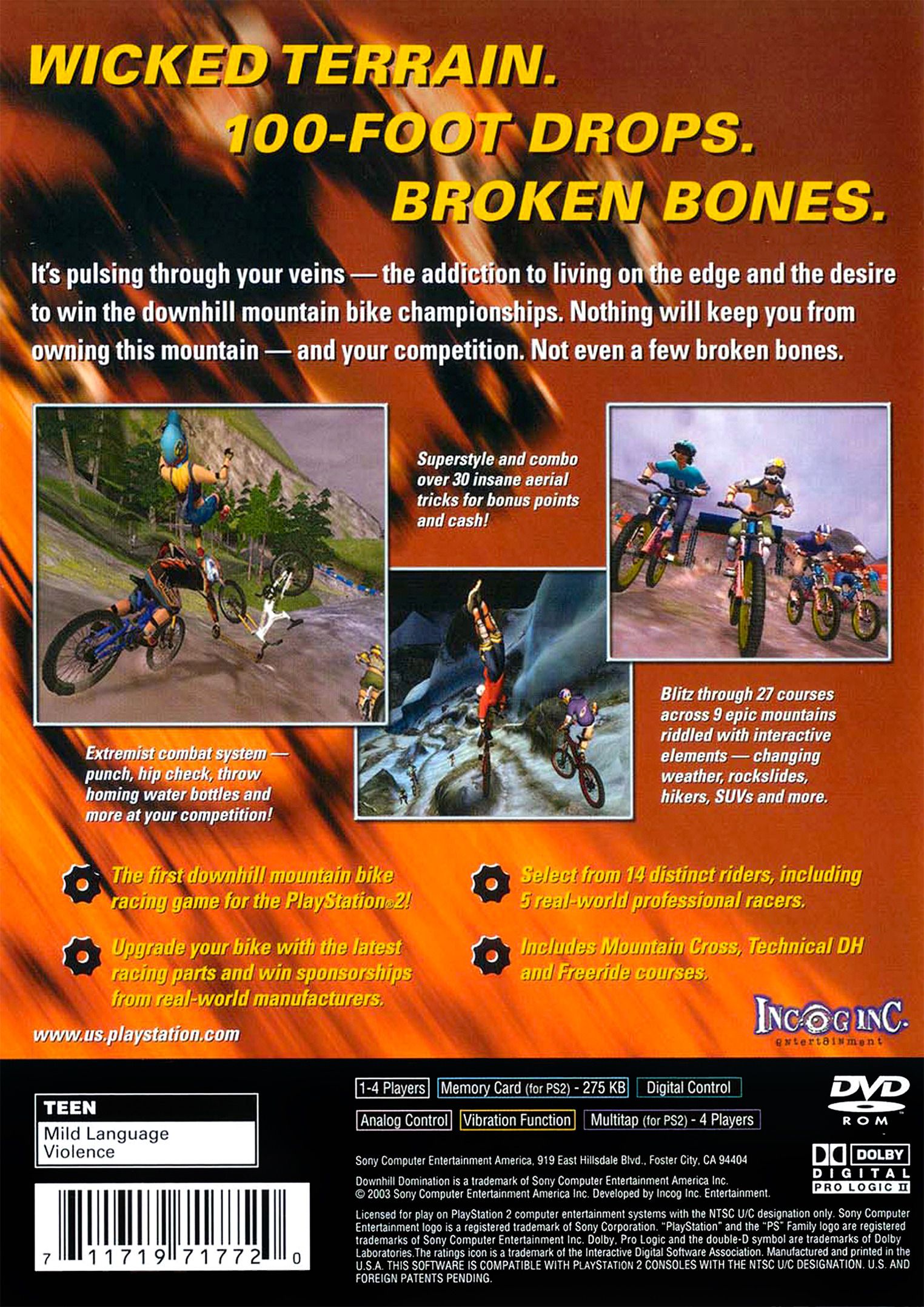 downhill domination ps2
