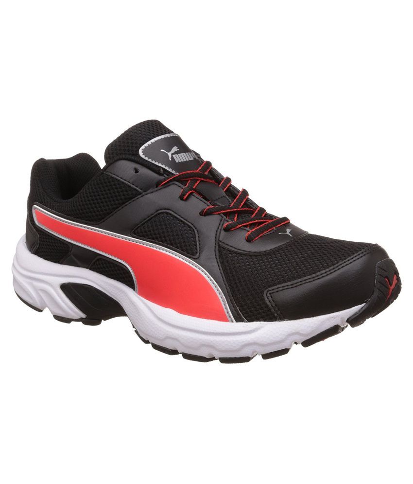 do pumas run large or small