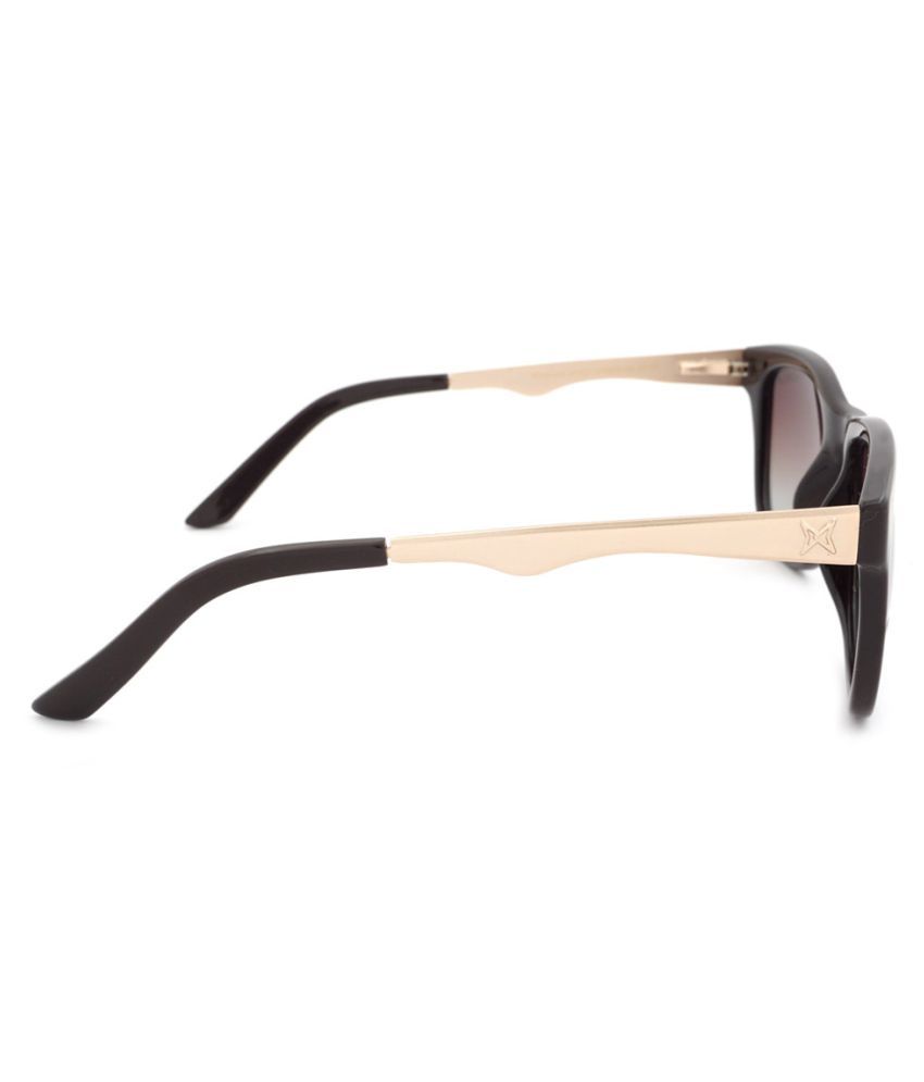 Xford Brown Square Sunglasses ( 551 ) Buy Xford Brown Square