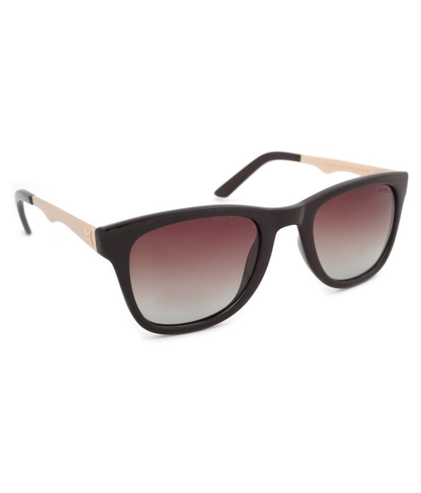 Xford Brown Square Sunglasses ( 551 ) Buy Xford Brown Square