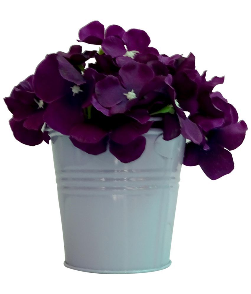 HOB Assorted Flowers  With Pot  Purple  Pack of 1 Buy HOB 
