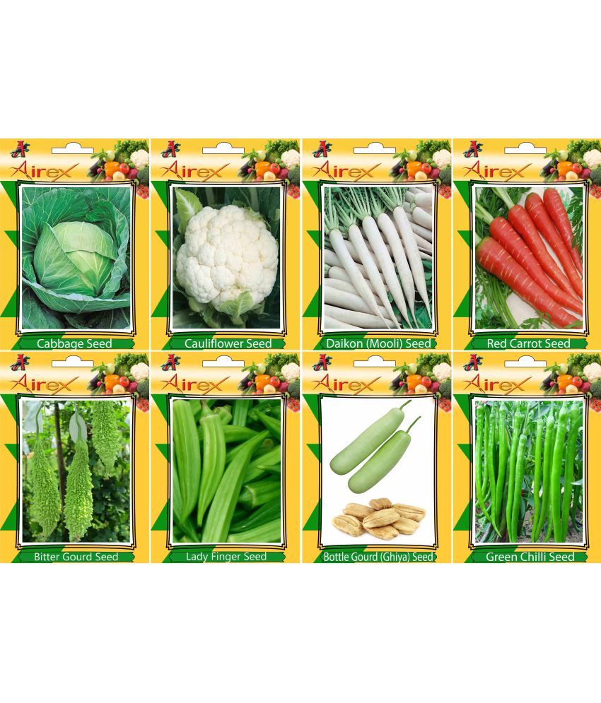 Airex Cabbage Cauliflower Daikon Red Carrot Bitter Gourd Lady Finger Bottle Gourd And Green Chilli Vegetables Seeds Pack Of Seeds Per Packet Buy Airex Cabbage Cauliflower Daikon Red Carrot Bitter Gourd