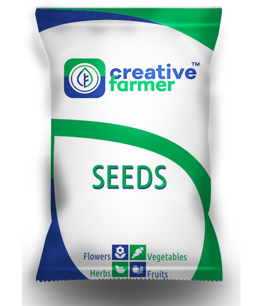 Flower Seeds Seeds For Plants Combo Mandaram , Ornamental Choice, Angel Wings , Zinnia Garden