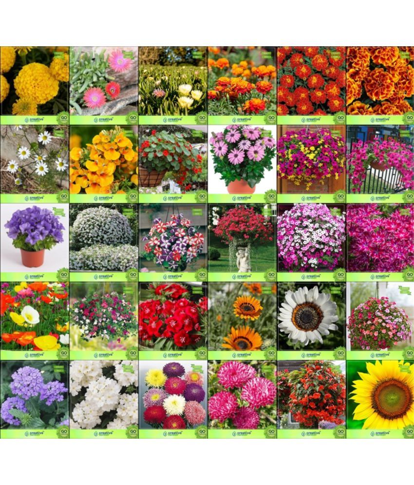 Flower Seeds Seeds For Vertical Garden And Horizontal Combo of 30
