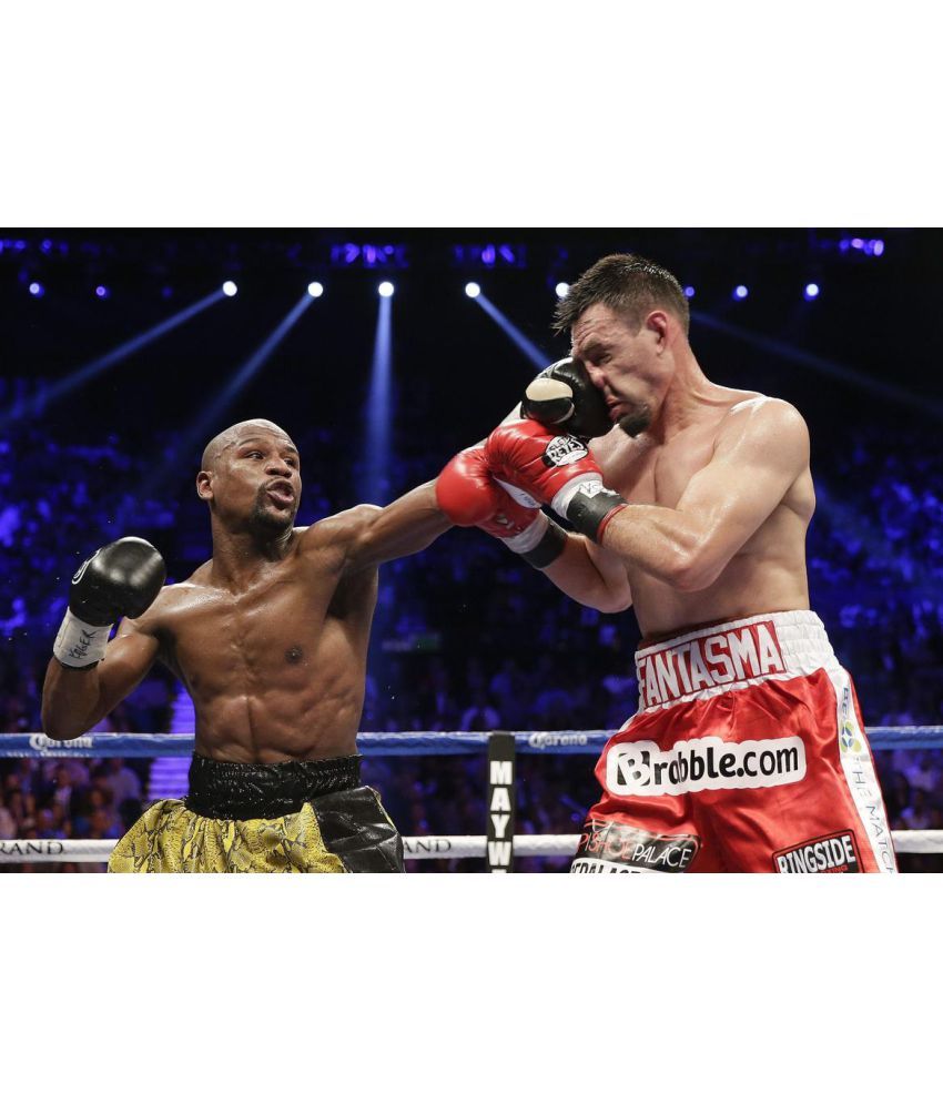 Floyd Mayweather Wall Art Print Photo Print Poster Picture Boxing