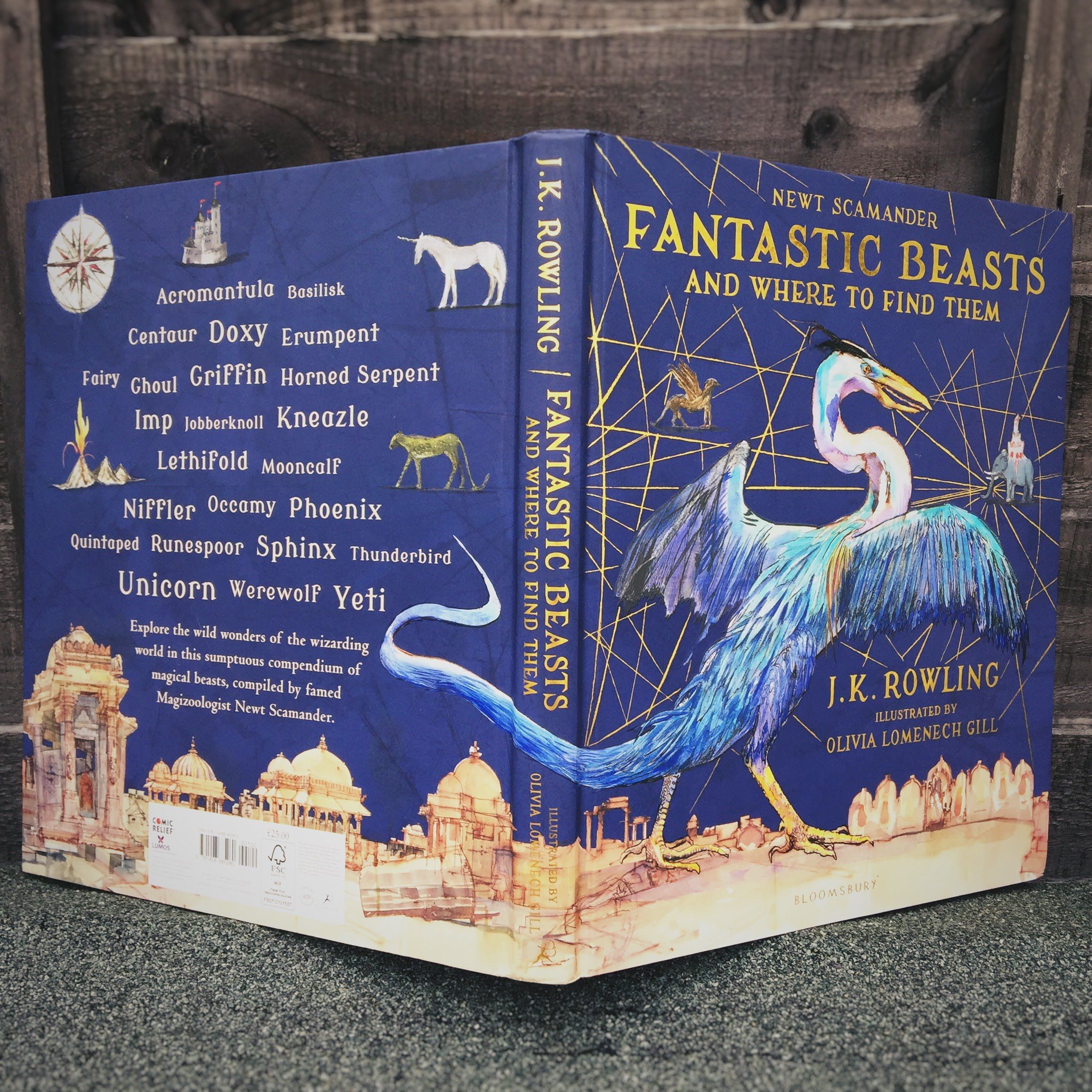 fantastic beasts novel series
