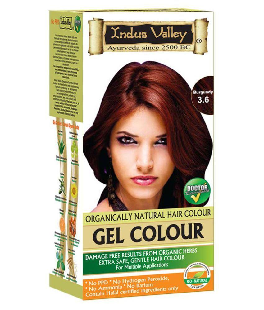Indus Valley Permanent Hair Color Burgundy 220 mL: Buy ...