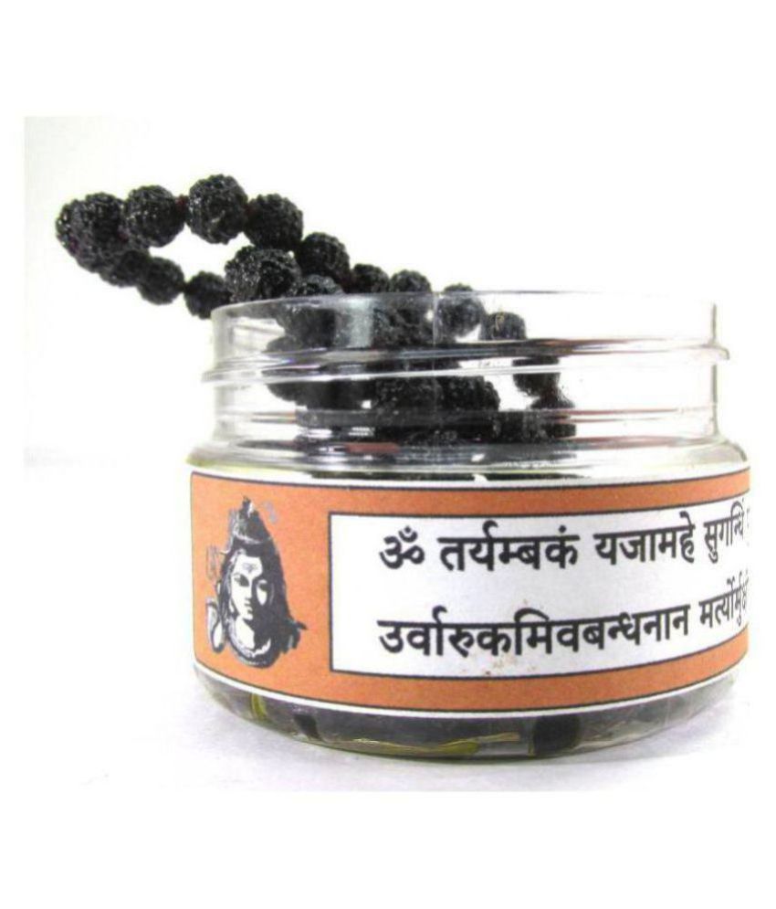     			Shivoham Mantra-Siddha Shiv Rudraksha Mala 5 Face Rudraksha