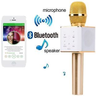 wireless microphone & hifi speaker q7 price