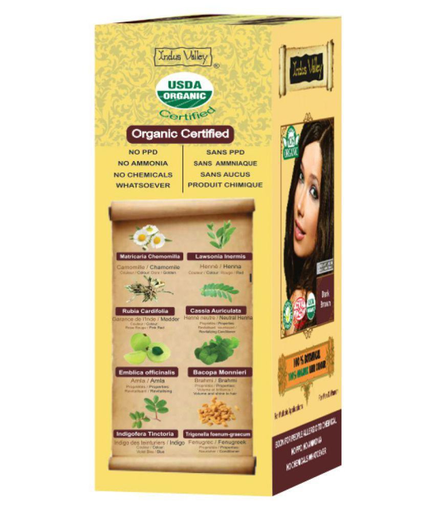 Indus Valley 100% Botanical Hair Color, Dark Brown with Color Protection  Tube: Buy Indus Valley 100% Botanical Hair Color, Dark Brown with Color  Protection Tube at Best Prices in India - Snapdeal