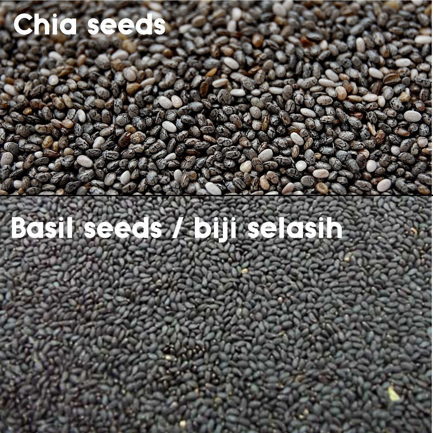 Nutshellz Regular Chia Seeds 100 Original 1 kg Buy Nutshellz