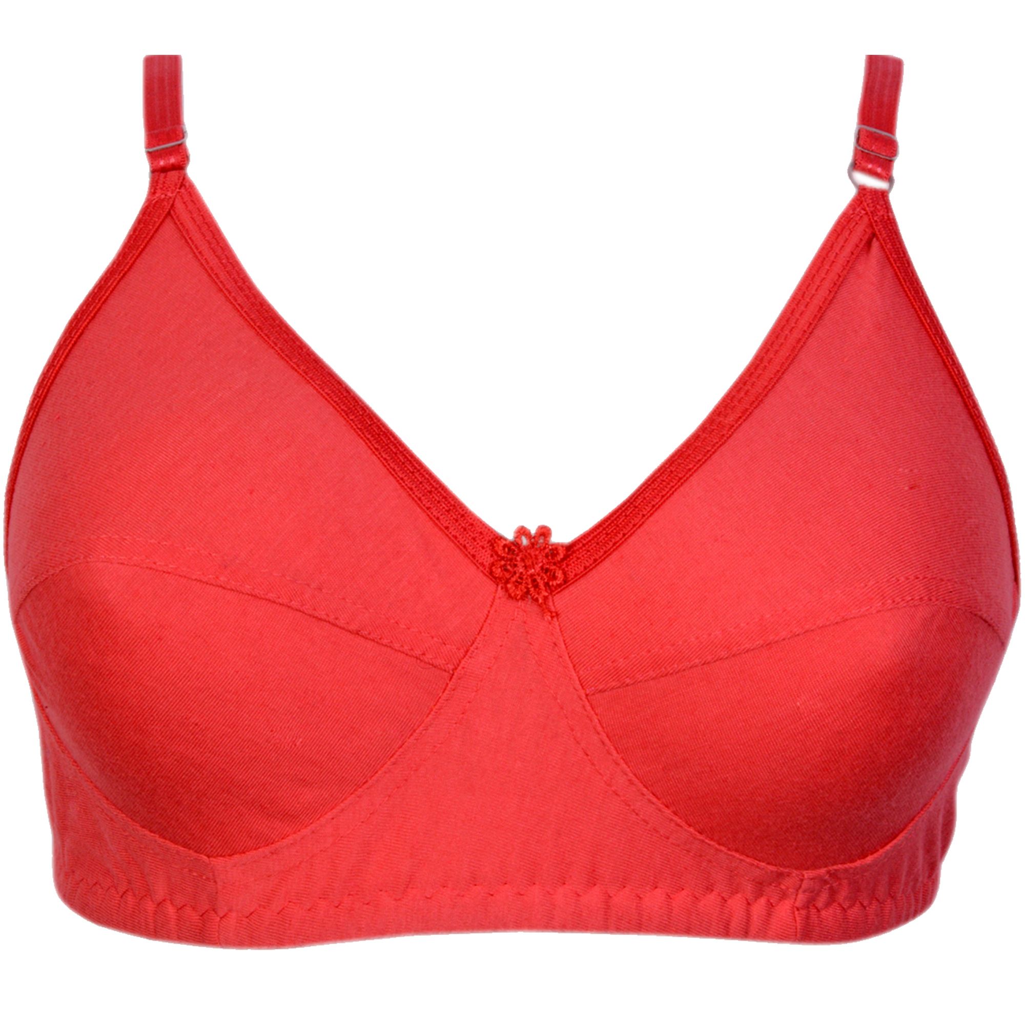 Buy Kiran Enterprises Cotton Minimizer Bra Red Online at Best Prices