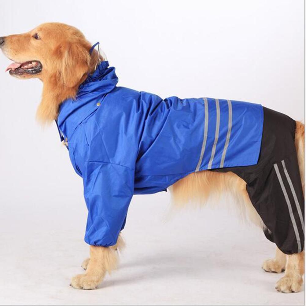 dog raincoat online