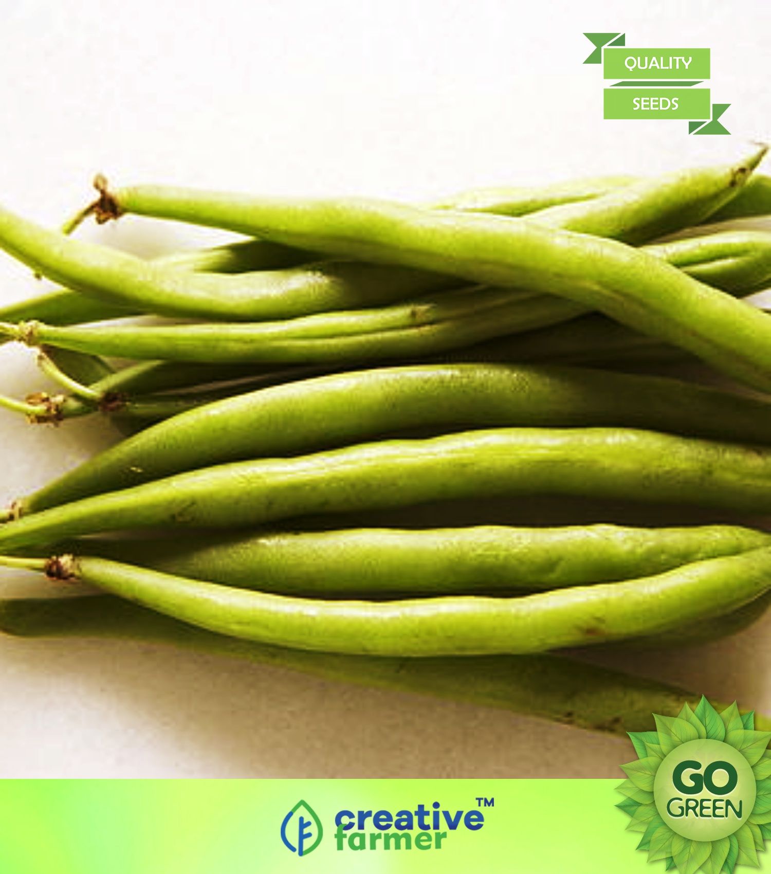 Vegetable Seeds String Beans Seeds Beans Green (White Seeds) Seeds