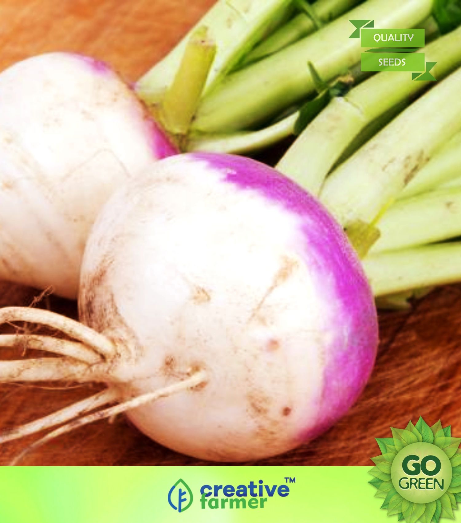 Vegetable Seeds Top Turnip Purple Seeds Turnlip Seeds NonHybrid