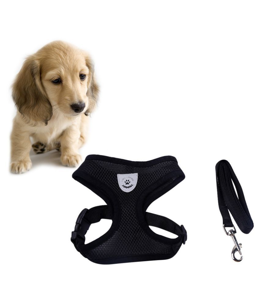 Puppy harness india Clearance