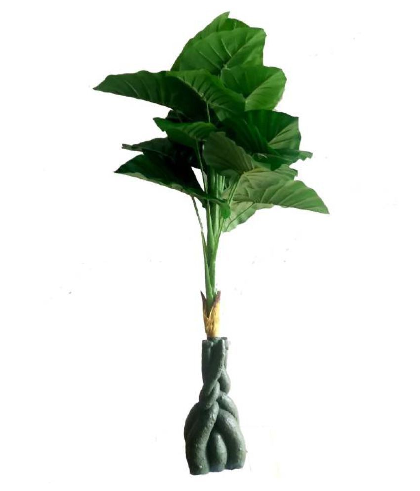     			Green plant indoor Money Plant – 3.5 Feet Green Artificial Tree Plastic - Pack of 1