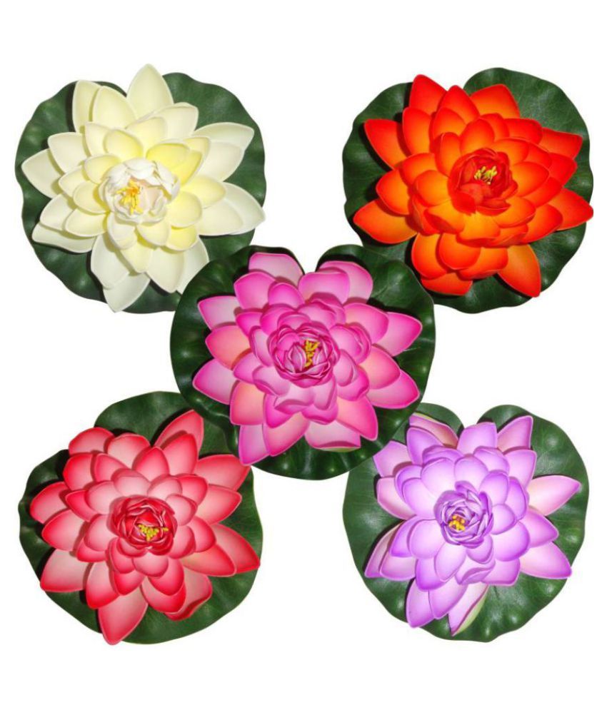     			Green plant indoor Lotus Multicolour Floating Flowers - Pack of 5