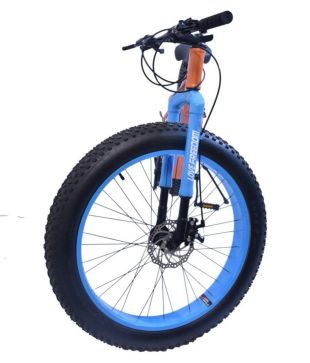 love freedom fat bike