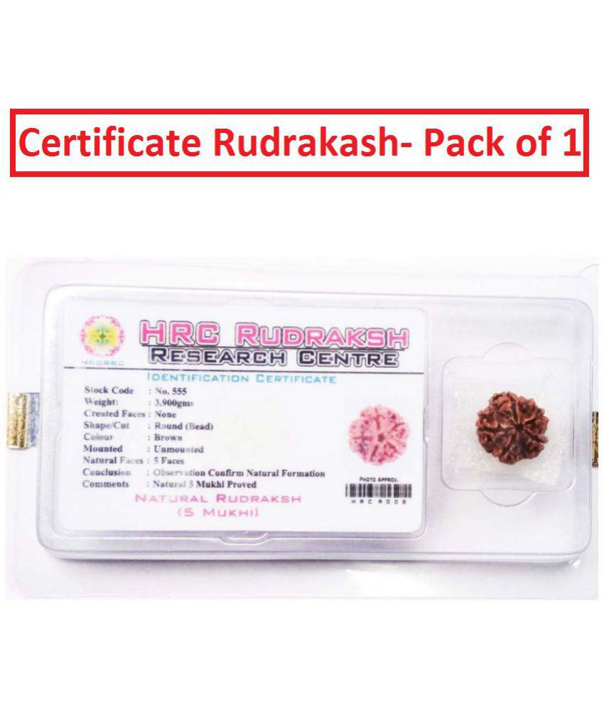     			Pantone 100% Original 5 Face Nepali Rudraksha With Lab Certificate - Pack of 1