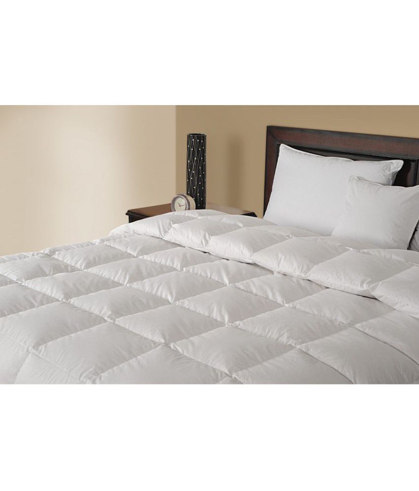 Gilson Double Cotton Plain White Comforter Buy Gilson Double Cotton