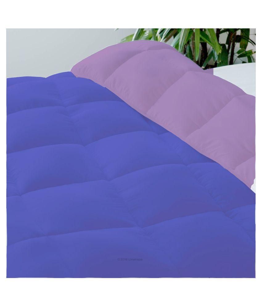 Avi Double Poly Cotton Plain Purple Comforter Buy Avi Double