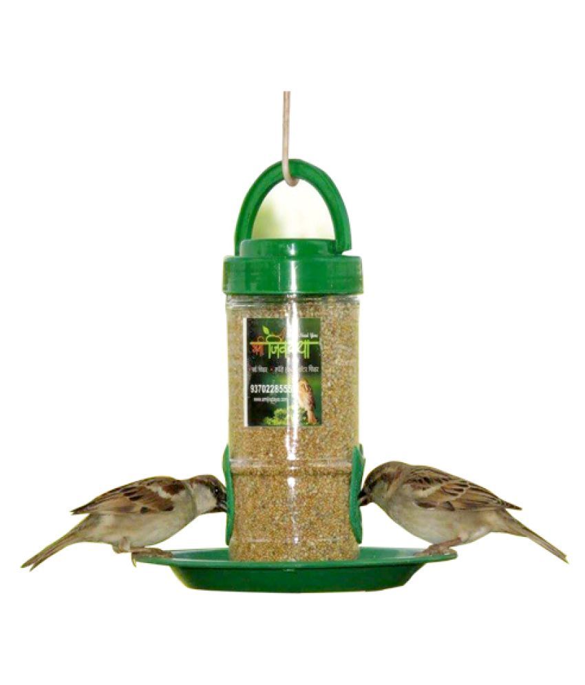 Small Bird Feeder Buy Small Bird Feeder Online At Low Price