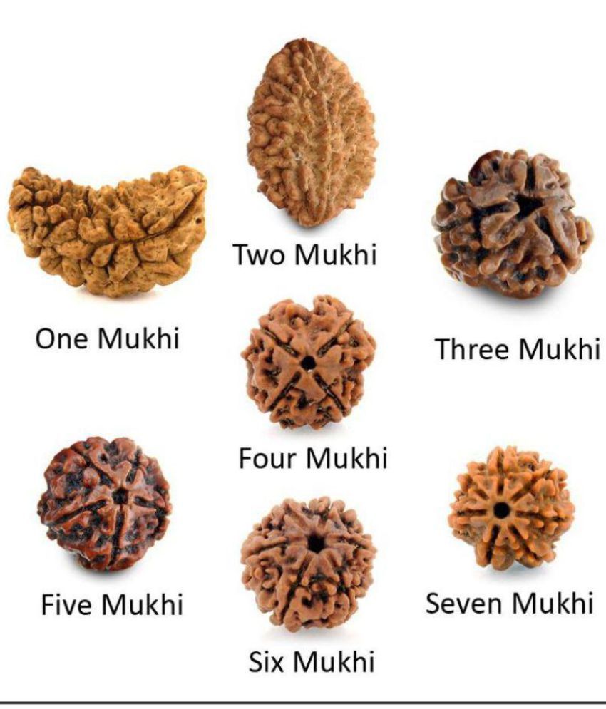 1 Mukhi Rudraksha Pendant One Face Rudraksha Buy 1 Mukhi Rudraksha Pendant One Face Rudraksha At Best Price In India On Snapdeal Certified natural 1 mukhi rudraksha at lowest wholesale price. snapdeal