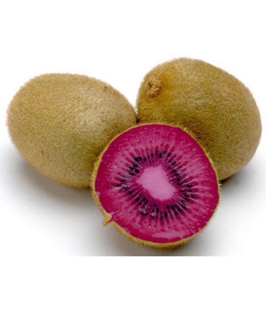     			Kiwi Seeds - PINK LADY - Great Houseplant - Rare Tropical Fruit Seeds